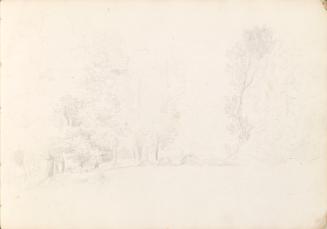 Group of People Sitting under Trees in Parkland