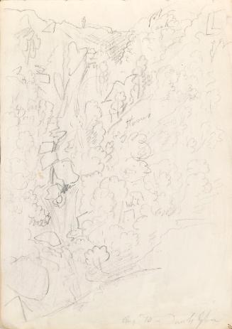 Devil's Glen, Wicklow