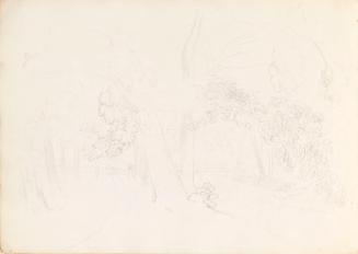 Riverside Walk with Trees