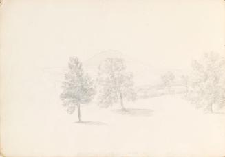 Parkland with Glenmore Castle and Carrick Mountain in the Distance (1)