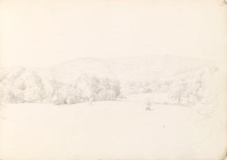 Parkland with Glenmore Castle and Carrick Mountain in the Distance (2)