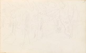 Dense Wood with Two Cows