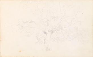 Figures Climbing on a Large Tree