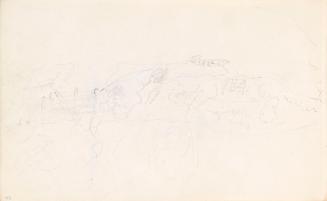 Fences and Vegetation