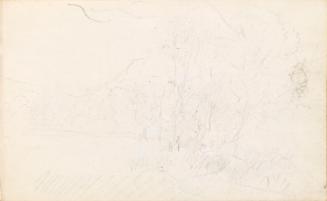 View of Woods with Figure