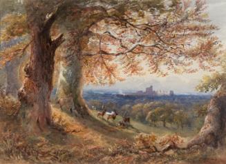 Windsor Castle and Forest, Berkshire