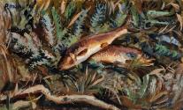 Trout on Grass