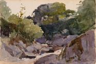 A Rocky Stream