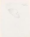 Drawing of Vivien St George, head only