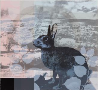 © Debbie Godsell
