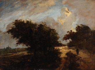 A Road between Trees