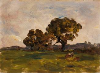 Trees in Pasture Land