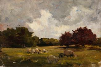 Sheep at Pasture