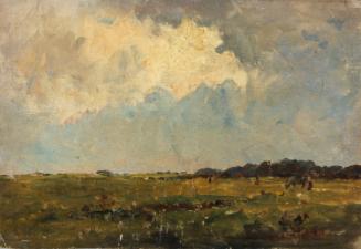 Fields and a High Sky