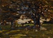 Sheep under Trees