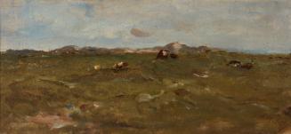 Hill Pastures with Cattle