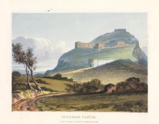 Dunamese Castle and Rock, County Laois