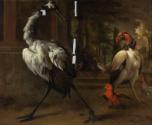 A Japanese Crane and King Vulture