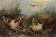 Duck Hunting