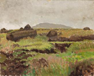 Landscape with a Bog
