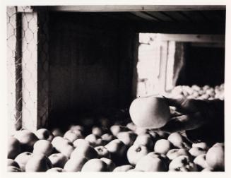 © The Father Browne SJ Collection