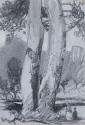 Figures beside Scots Pine Trees, ?Powerscourt Demesne