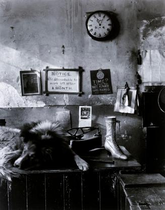 © Estate of Evelyn Hofer
