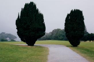 © Samuel Laurence Cunnane & Kerlin Gallery