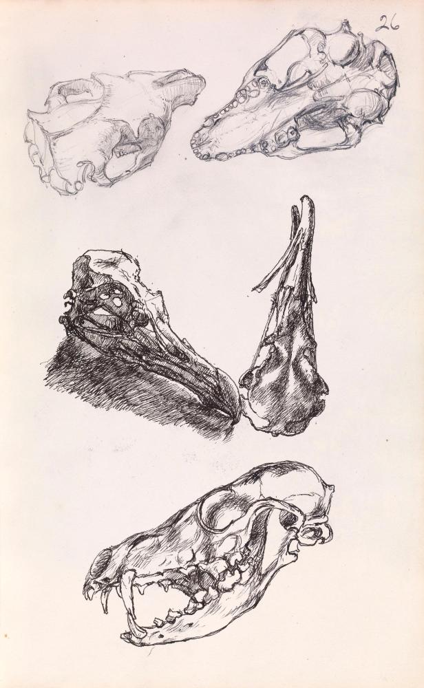 National Gallery of Ireland Collection. Photo © National Gallery of Ireland. © The Estate of Ge…