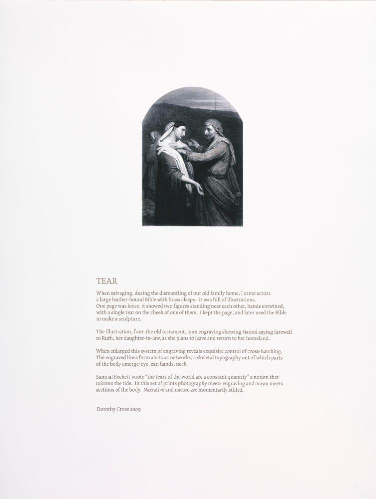 Permission Courtesy of the Artist and Kerlin Gallery, Dublin
