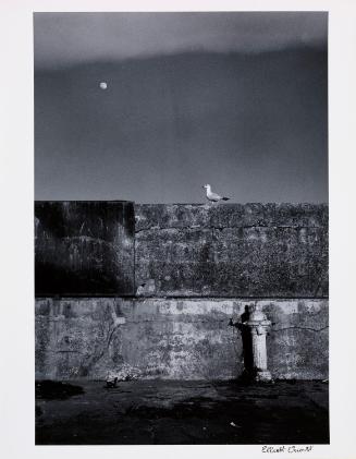 © Elliot Erwitt / Magnum Photos
