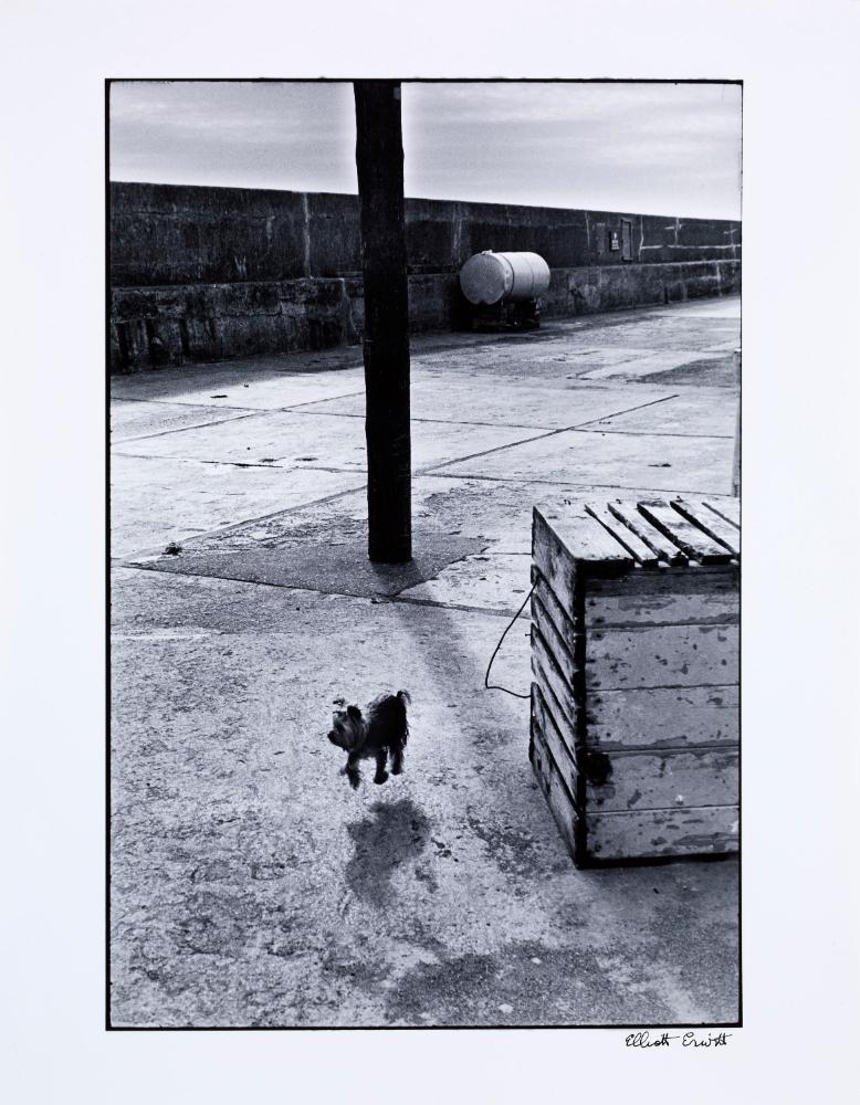© Elliot Erwitt / Magnum Photos
