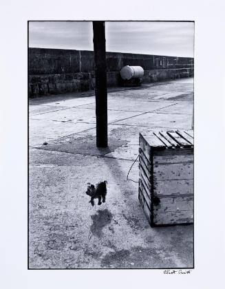 © Elliot Erwitt / Magnum Photos
