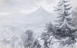 The Great and Little Sugarloaf from the Scalp