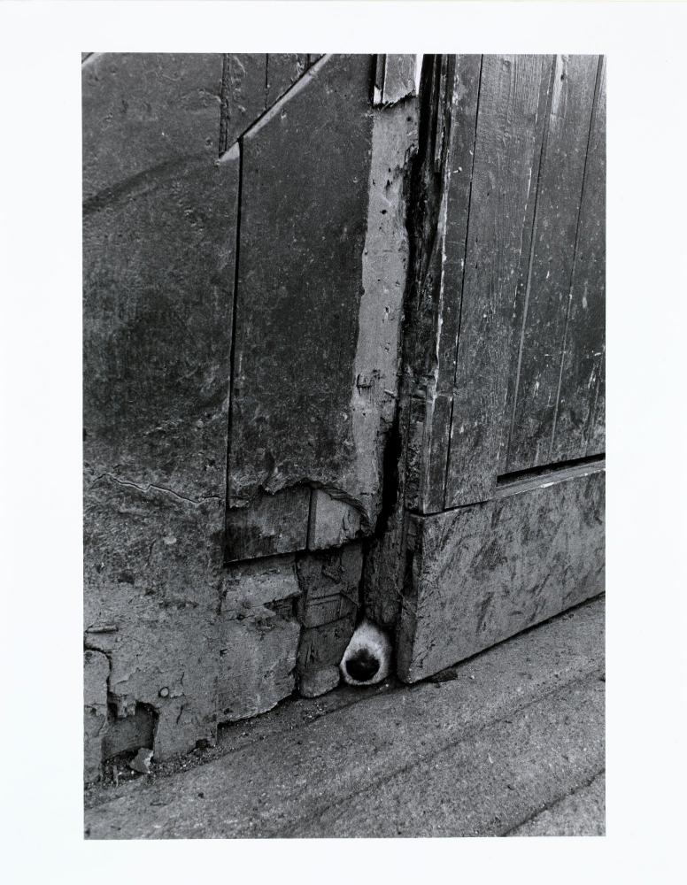 © National Gallery of Ireland