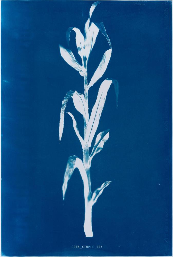 © National Gallery of Ireland