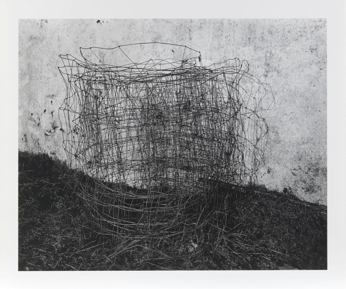 © Amelia Stein