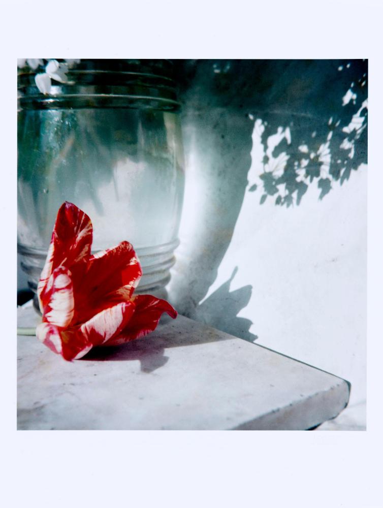 Photograph by Jacques Henri Lartigue © Ministère de la Culture (France), MPP-AAJHL
