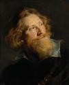 Head of a Bearded Man