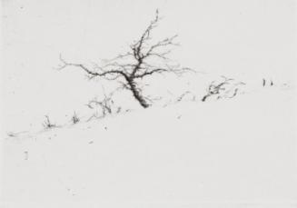 © National Gallery of Ireland