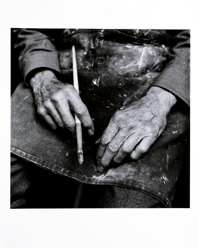 © Amelia Stein