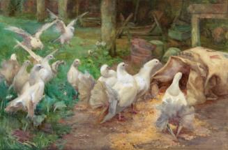 A Preliminary Investigation