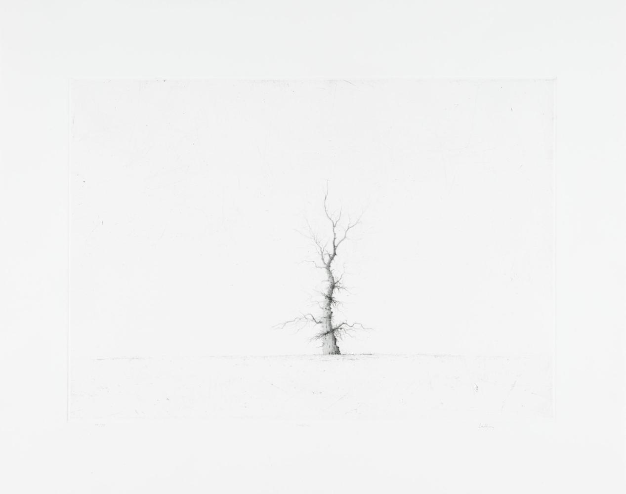 © Lars Nyberg