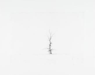 © Lars Nyberg
