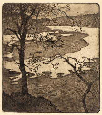 Trees Above the Estuary