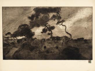 The Hurricane