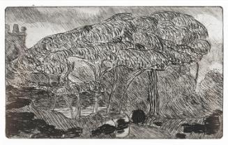 The Billowing Trees