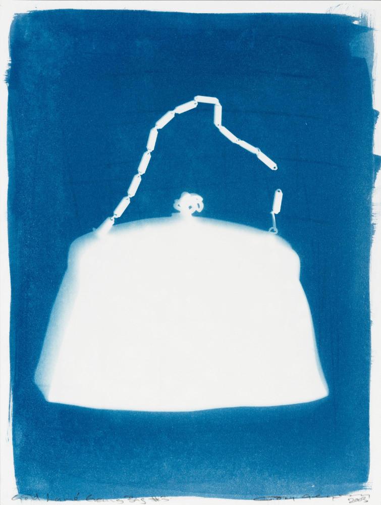 © Joy Gregory, DACS London / IVARO Dublin, 2024