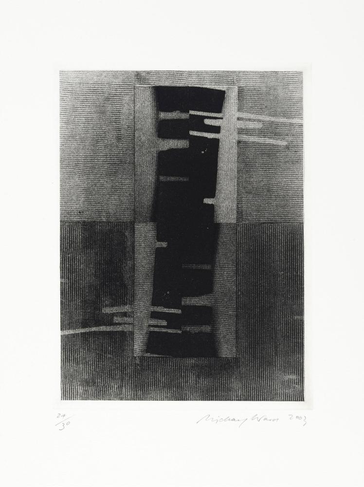 © Micheal Ward, DACS London / IVARO Dublin, 2024