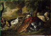 Noah's Ark